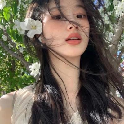 波士顿布莱奇中国历险记